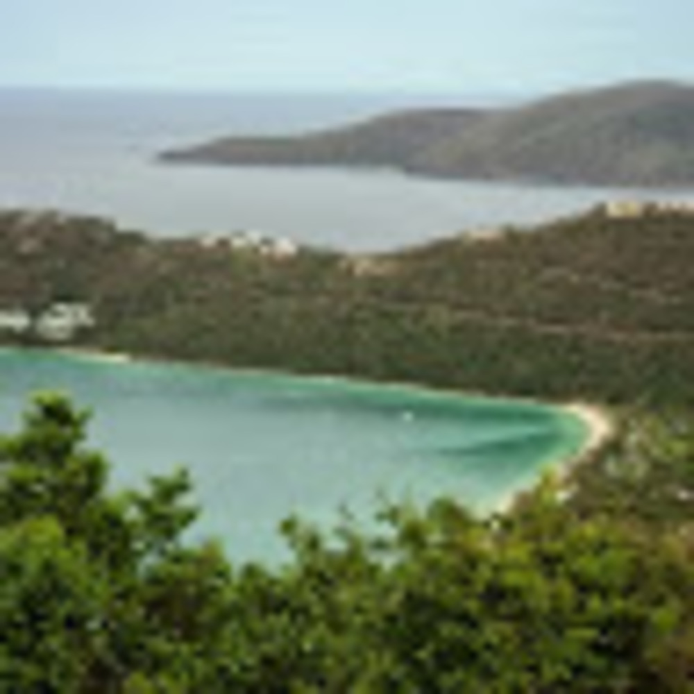 Meet your Posher, Will